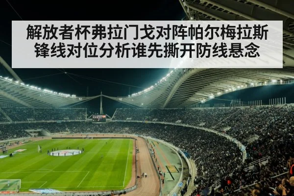 soccer stadium night crowd